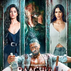 Baaghi 4 chords for Marjaana