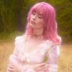 Funeral Song Chords by Baby Bugs