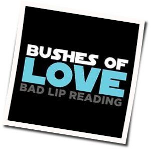 Bushes Of Love Chords by Bad Lip Reading