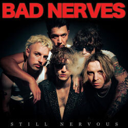 You've Got The Nerve Bass Tab by Bad Nerves