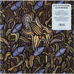 Against The Grain Chords by Bad Religion