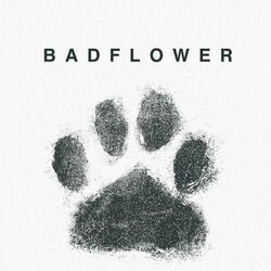 Paws Intro by Badflower