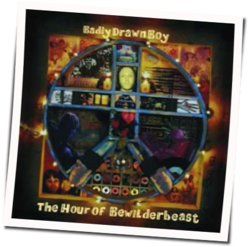 Epitaph Chords by Badly Drawn Boy