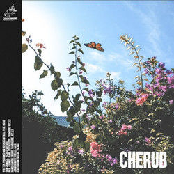 Cherub Ukulele Chords by Ball Park Music