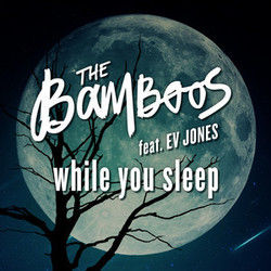 While You Sleep Bass tabs by The Bamboos