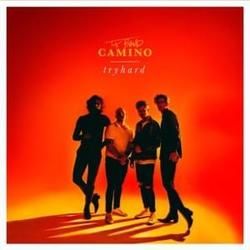 Farsighted Bass Tab by The Band Camino