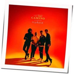 Haunted Chords by The Band Camino