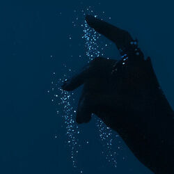 La Marée Chords by Bandit Bandit