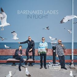 Just Wait by Barenaked Ladies