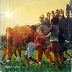 Il Salame Chords by Lucio Battisti