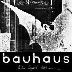 Some Faces Chords by Bauhaus
