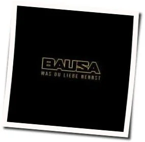 Was Du Liebe Nennst Chords by Bausa