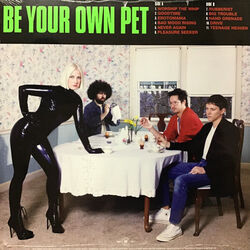 Be Your Own Pet chords for Teenage heaven