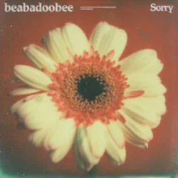 Sorry Chords by Beabadoobee