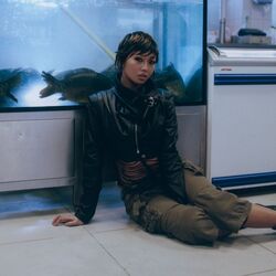 All I Did Was Dream Of You Chords by Beabadoobee