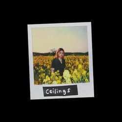 Ceilings Tabs by Beabadoobee