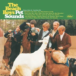 You Still Believe In Me Tab by The Beach Boys