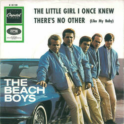 The Little Girl I Once Knew Bass Tab by The Beach Boys