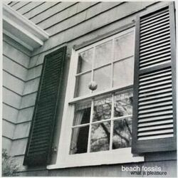 What A Pleasure Tab by Beach Fossils