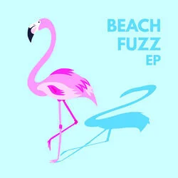 I Think I'm Falling For Her Chords by Beach Fuzz
