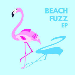 I Think I'm Falling For Her Chords by Beach Fuzz
