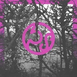 Little Cellist Ukulele Chords by Bears In Trees