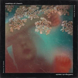 Ramblings Of A Lunatic Ukulele Chords by Bears In Trees