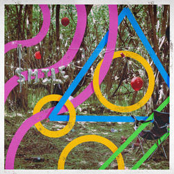 Cut Corners On Short Walks Bass Tab by Bears In Trees