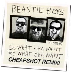 So Whatcha Want by Beastie Boys