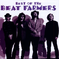 Happy Boy Bass Tab by The Beat Farmers