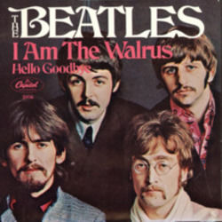 I Am The Walrus  by The Beatles
