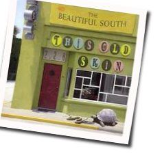 This Old Skin Chords by The Beautiful South