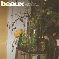 Guard Down Chords by Beaux