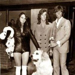 Dogs Chords by Bee Gees