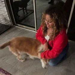 The Sick Chords by Bella Kay