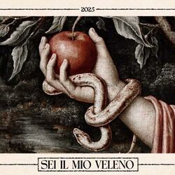 Sei Il Mio Veleno by Bello Figo