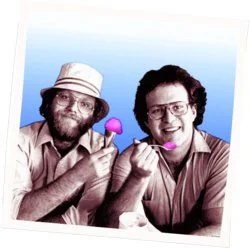 Hummingbird Chords by Ben&Ben