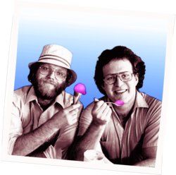 Hummingbird Chords by Ben&Ben