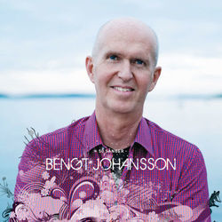 Vilken Vän Jag Fann Tab by Bengt Johansson