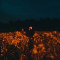 A Love Like That Chords by Benjamin Francis Leftwich