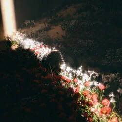 Gloria A Cristo Chords by Bethel Music