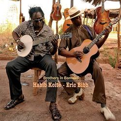 Going Down The Road Feelin Bad by Eric Bibb