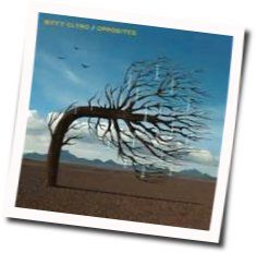 Skylight Tab by Biffy Clyro