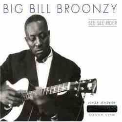 Stump Blues by Big Bill Broonzy