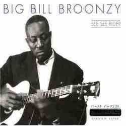 Stump Blues Tab by Big Bill Broonzy