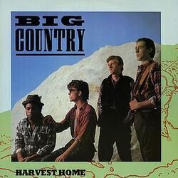 Harvest Home Bass Tab by Big Country