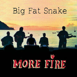 Walk Into An Empty Room by Big Fat Snake