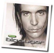 Let It Ride by Big Sugar