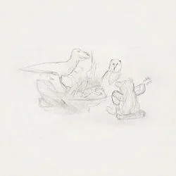 Dried Roses Chords by Big Thief