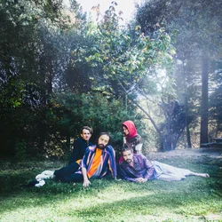 Forgive The Dream Chords by Big Thief